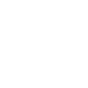 Finsfera